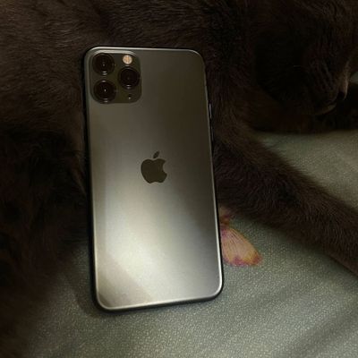 Iphone 11 pro buxoro