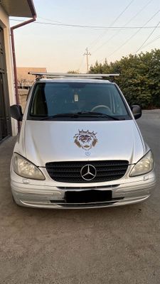 Mersides vito .