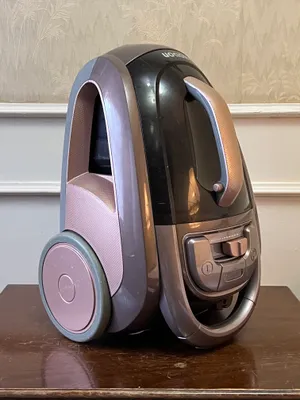 Пылесос Roison RI VC-T4509E