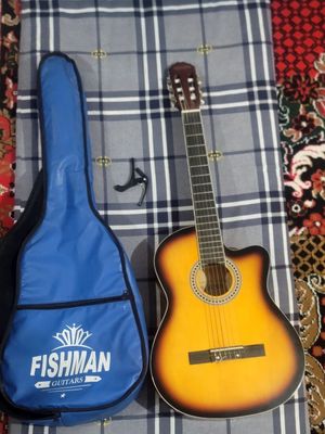 Klassik gitara