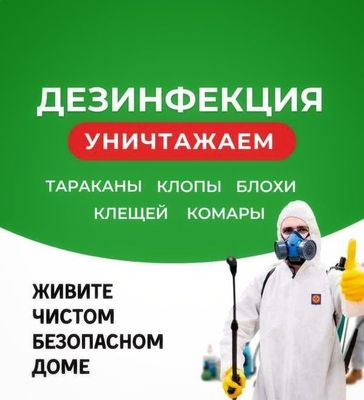 Дезинфекция без запаха офис квартир квартир склад