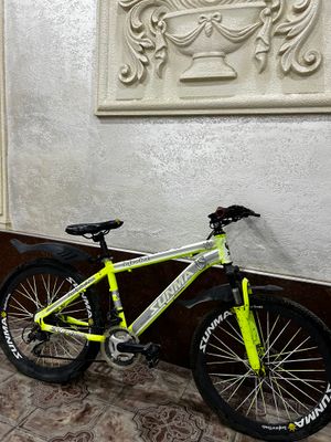 Velodiped