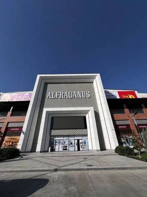 Продаются магазины Молл ALFAGRANUS на 1 и на 2 этаже