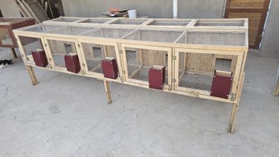 Quyon qafas (katak), Клетка для кролика