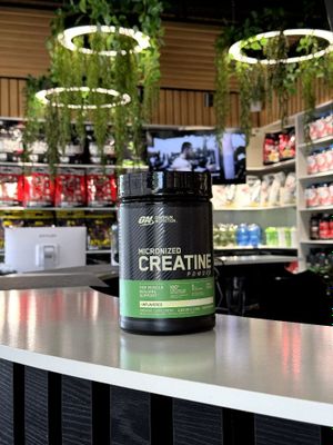 optimum Nutrition creatine 240 servings