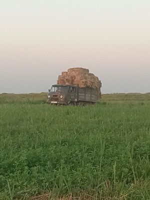 UAZ bortli sotiladi