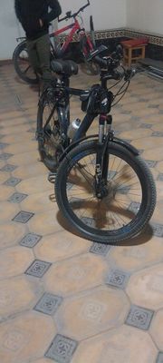 Velasaped drongo