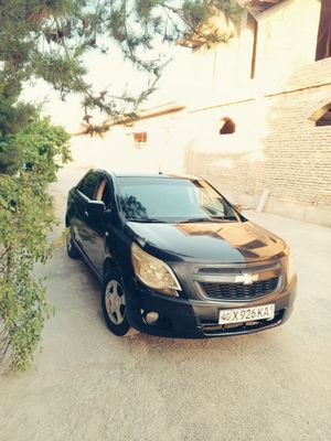 Kobalt soʻyladi 2014yil pul zarl