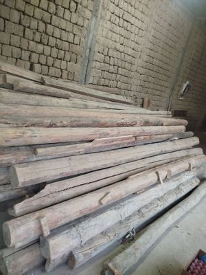 Bolorlar sotila kelishamiz.