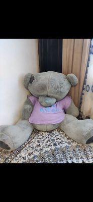 Teddy Ayiq xolati yangi eng kottasi eng arzoni faqat bizda