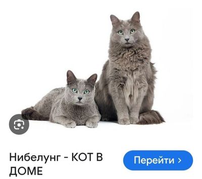 Нибелунг. Редкая порода