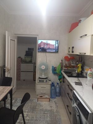 1 комнатная квартира