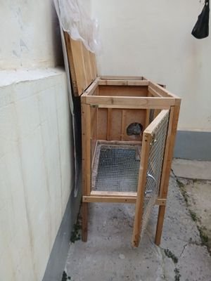 quyon qafas sotiladi.