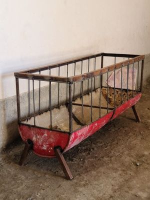 Qo'ylar uchun oxir