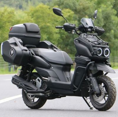 Remont skutter benzin mator elektr skutter