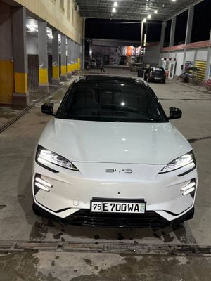 Byd champion 605