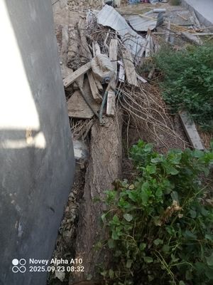 Utin sotiladi arzonga