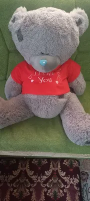 Mishka Teddy sotiladi