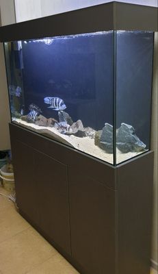330 litr akvarium