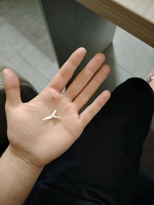 реальный зубы акул сентайгера