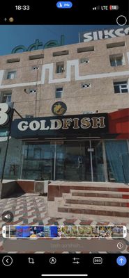 Gold fish magazi