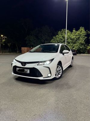 Toyota corolla 2023