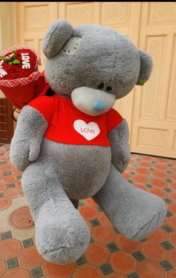 Teddy sotiladi 1 metr