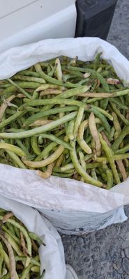 Lubla лубла оптом