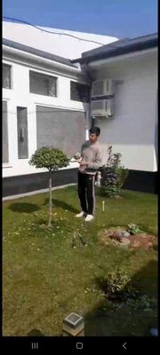Gazon ekish xizmati