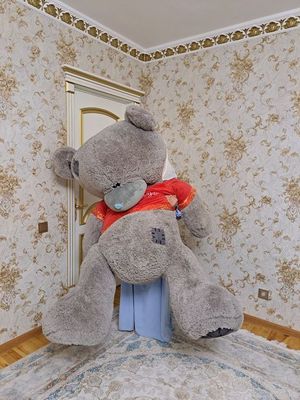 teddy 2.0 M