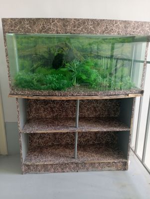akvarium