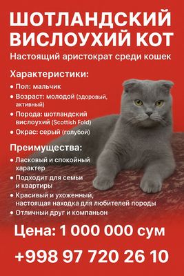 цена договорная. советую купить.