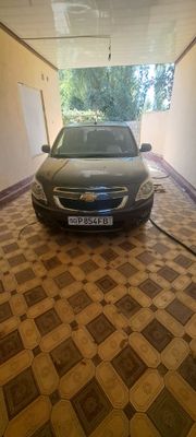 Мошина умуман азоб емаган