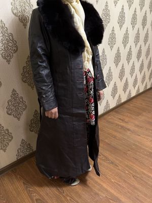 Toza koja toq bardoviy ichi mehli