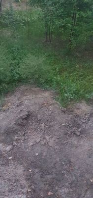 Toza Qum тоза кум