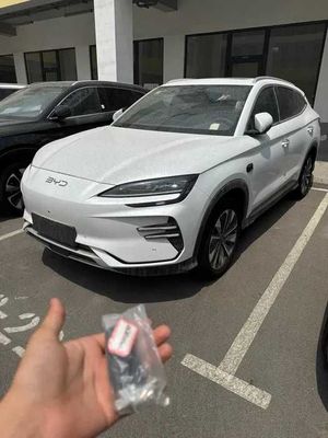Byd champion 605km