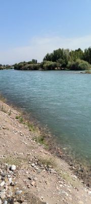 24 сотх учаска сотилади