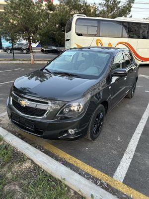 Cobalt Midnight 2025