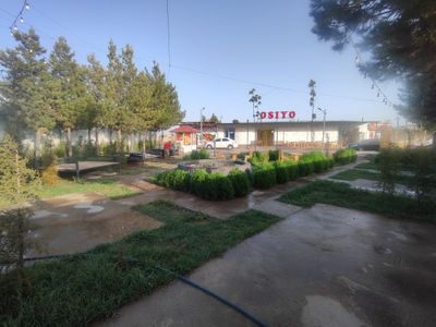 Нотурар бино сотилади