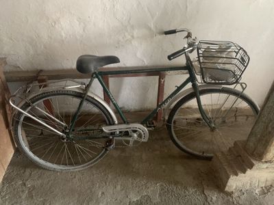 Aist velik holati yahshi