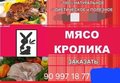 Кролики домашние.