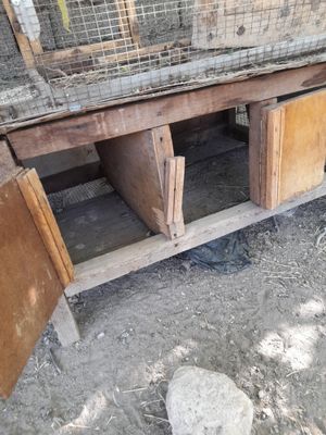 Qafas quyon joja tovuqlarga yaxshi 2ta