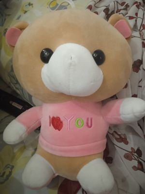 ayiqcha