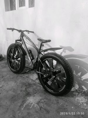 kami bor