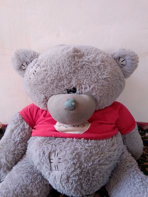 Teddy ayiqcha