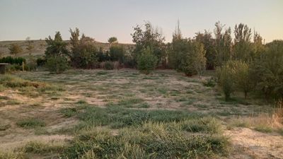 Yer uchasksa yaxshi joydan