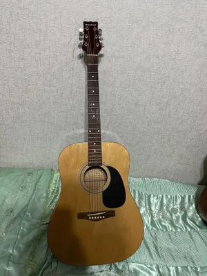 Gitara professionalnaya