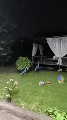Кибрай тумани, Откир маҳалласида 6 сотих ер участкаси сотилади!