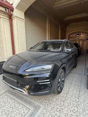 Byd champion Smart