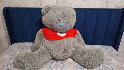 Teddiy Lobe b/u xolati yaxshi